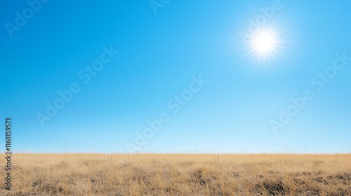 Sunny Day on the Savannah: ...