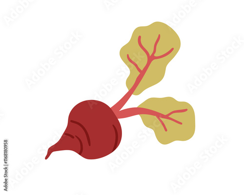 Beetroot vegetable with top leaves. Organic natural agriculture crop, sugar beet root. Farm tuber, healthy harvest, eating. Flat graphic vector illustration isolated on white background