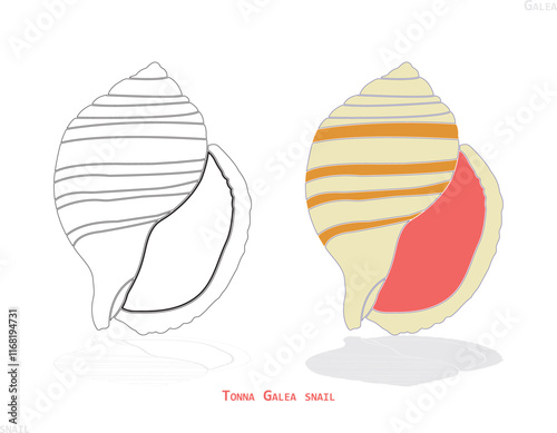 illustration of an snail background.