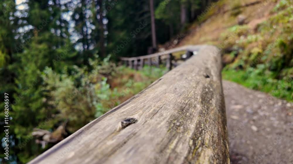 Detailed close-up view of a weathered wooden railing with a blurred forest trail in the background. The scene captures the natural textures of wood and the vibrant forest surroundings. Detailed close-up view of a weathered wooden railing with a blurred forest trail in the background. The scene captures the natural textures of wood and the vibrant forest surroundings.