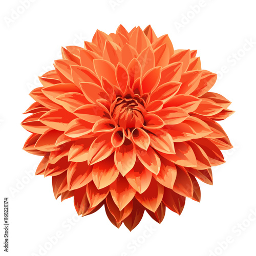 Flower of beautiful orange dahlia macro nature isolated  vector illustration  (5)