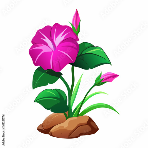 Pink morning glory and rocks on white  vector illustration (3)