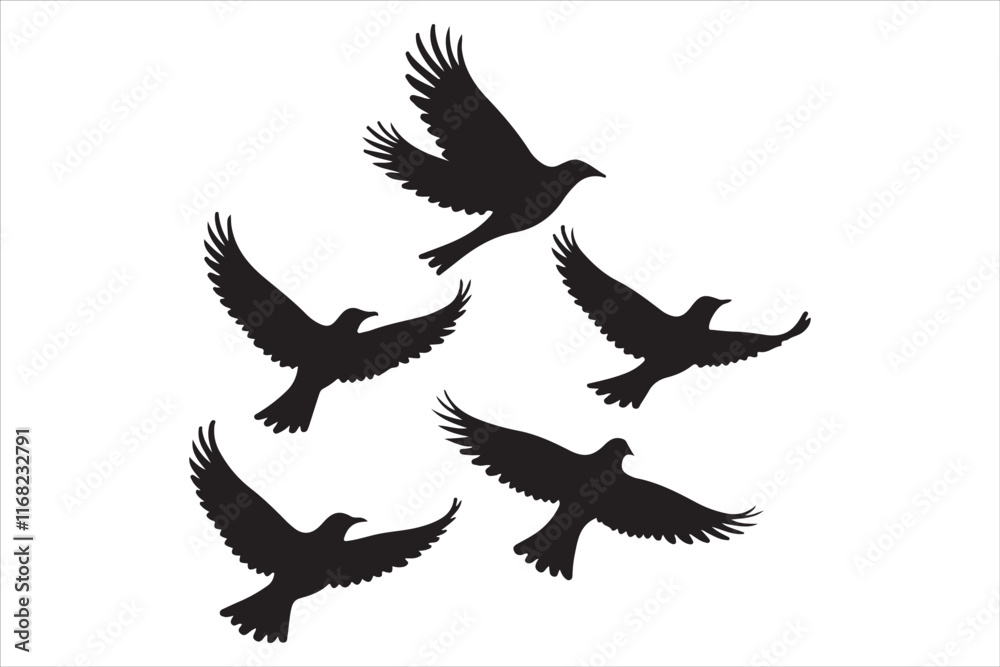 Obraz premium Flying Birds Sky Vector Silhouettes