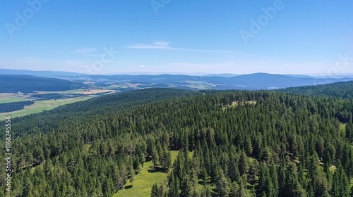 Stunning Aerial View of Lush Green Forests and Scenic Mountain Landscape