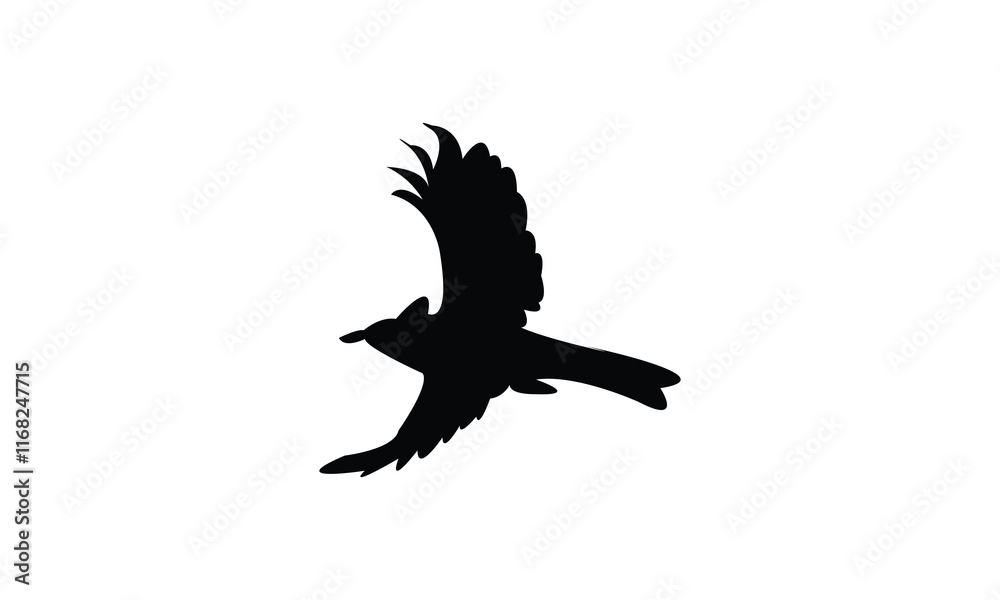 Fototapeta premium Flying Bulbul Bird Silhouette Design And Vector Illustration. 