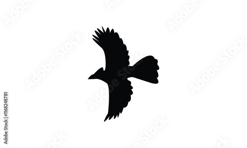 Flying Bulbul Bird Silhouette Design  And Vector Illustration. 