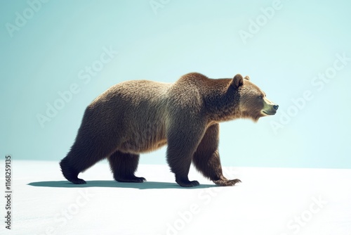 A majestic brown bear strides across a pristine white snowfield against a pale blue sky. photo