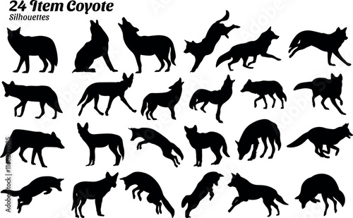 Set of 24 item Coyote Silhouette Vector Illustration