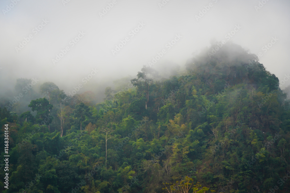 the atmosphere of the mountain and mist the atmosphere of the mountain and mist