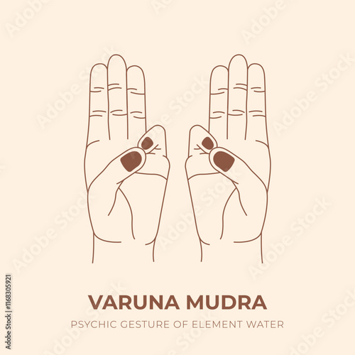 VARUNA MUDRA. YOGA. Yogic hand gesture. Yoga hand mudra.