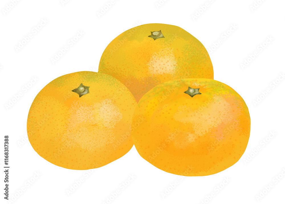 みかんのイラスト（手描き）