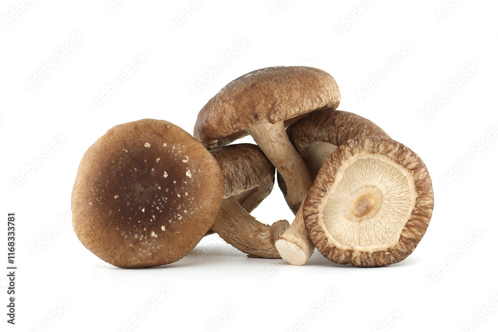 Fresh Shiitake Mushrooms Isolated on White Background Fresh Shiitake Mushrooms Isolated on White Background