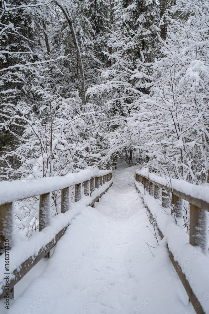 Naklejka premium A wooden bridge and trees covered with snow in the Estonian countryside on a cloudy winter day. Saula, Estonia.