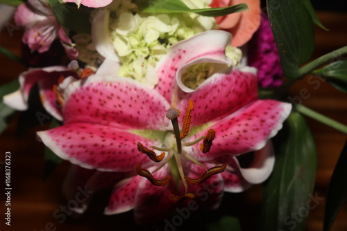 Detailed Close-Up of a Pink and White Lily


