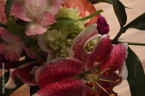 Detailed Close-Up of a Pink and White Lily

