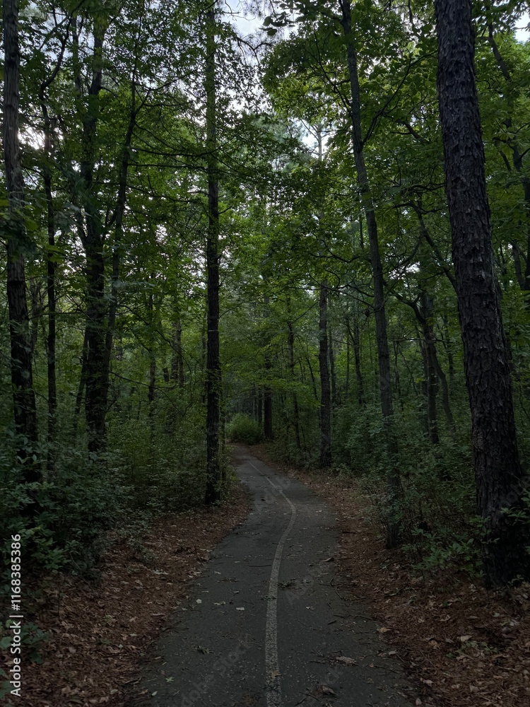 Obraz premium Quality in simplicity