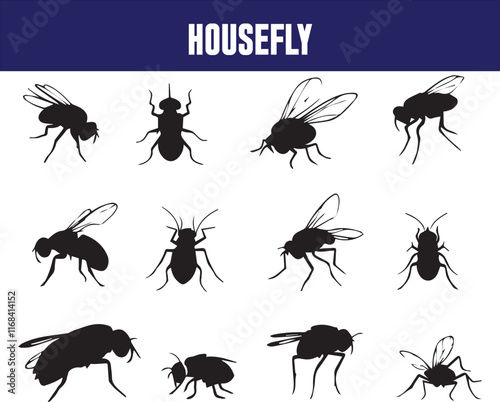 Housefly icons set Vector illustration isolated on white background