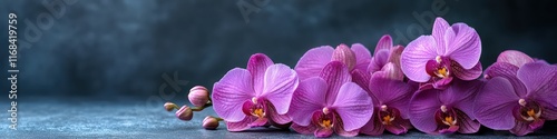 Serene Purple Orchids: A Stunning Floral Display