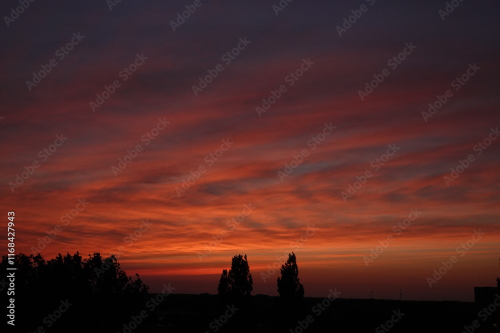 Fototapeta premium Rose sunset and colorful clouds