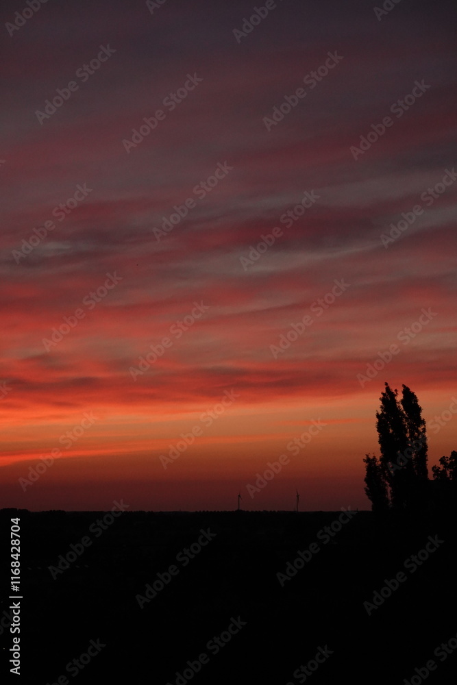 Obraz premium Rose sunset and colorful clouds