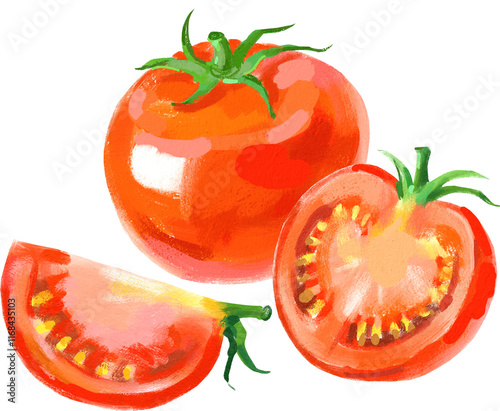 Acrylic gouache watercolor vegetable tomato illustration. Painted isolated superfood on white background photo