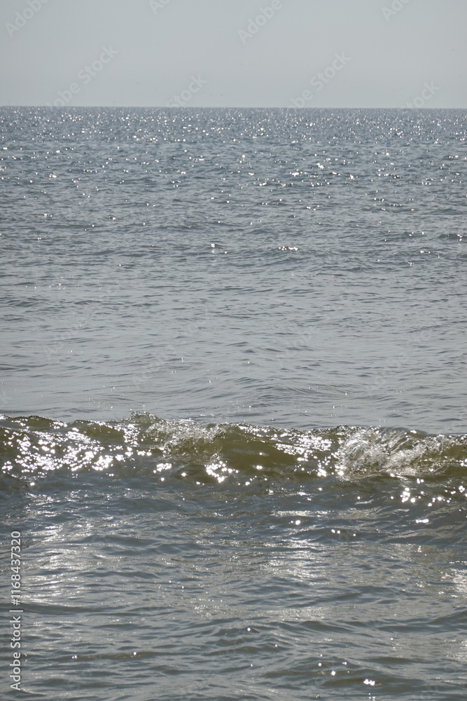 Fototapeta premium Texel Island in the Netherlands