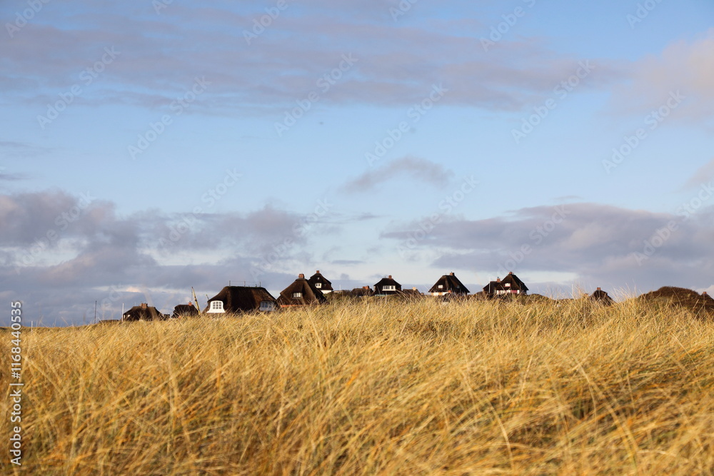 Obraz premium Häuser auf Insel Sylt