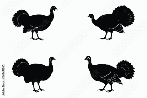 Silhouette of a turkey standing proudly, Thanksgiving Day vector silhouette
