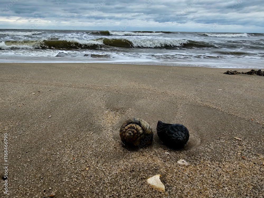 Am Hvidbjerg Strand in Dänemark Am Hvidbjerg Strand in Dänemark