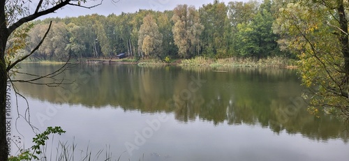 lake in the forest