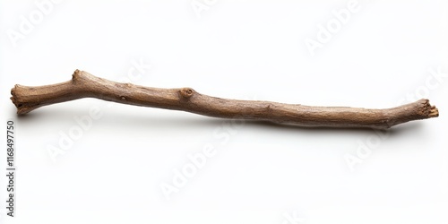 Single brown twig on white background.
