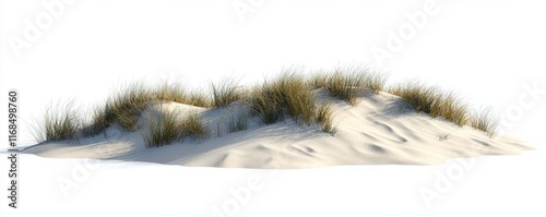 Sand dune with beach grass isolated on white.