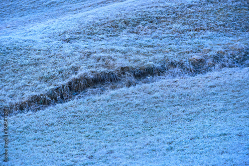 High angle view of frosted meadow at Swiss mountain village of Surava on a sunny autumn day. Photo taken November 15th, 2024, Surava, Switzerland. photo