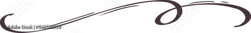 Line hand drawn of curly swishes, swashes, swoopes. Calligraphy swirl. Highlight text elements.