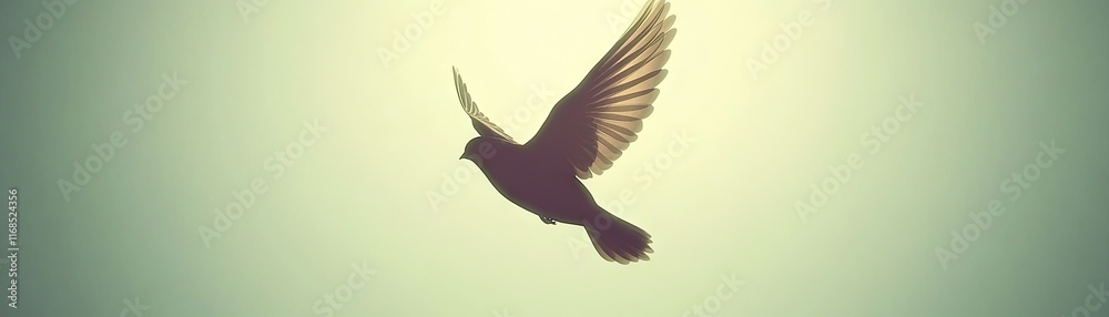 Obraz premium A silhouetted bird in mid-flight against a soft, illuminated background.