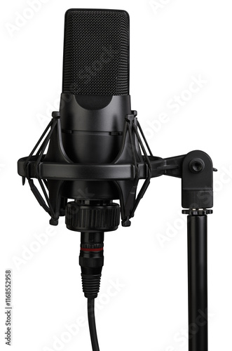 microphone isolated. Condencer Mic for studio recording voice