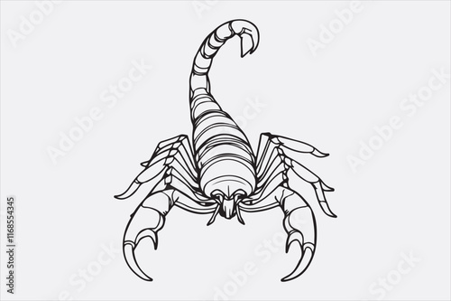 A black and white line drawing of a scorpion with a detailed depiction.