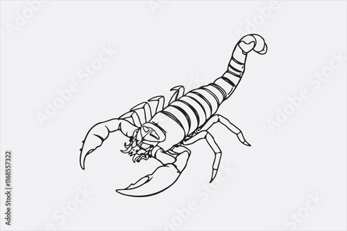 A black and white line drawing of a scorpion with a detailed depiction.