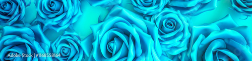Obraz na płótnie Blue floral background from artificial roses flowers. Horizontal banner w salonie