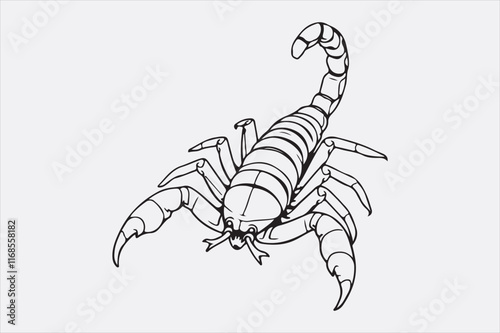 A black and white line drawing of a scorpion with a detailed depiction.