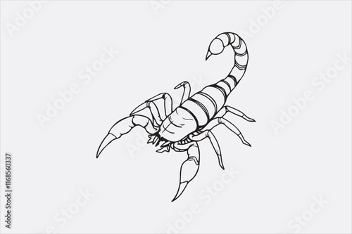 A black and white line drawing of a scorpion with a detailed depiction.