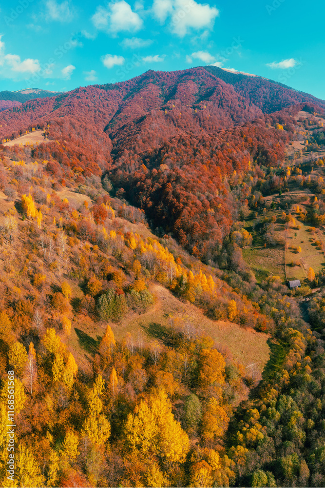 Panoramic view from above of colorful mountain slopes on a sunny autumn day. Beautiful landscape. Carpathian mountains, Ukraine. Vertical photo