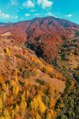 Obraz na płótnie Panoramic view from above of colorful mountain slopes on a sunny autumn day. Beautiful landscape. Carpathian mountains, Ukraine. Vertical photo w salonie