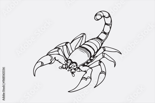 A black and white line drawing of a scorpion with a detailed depiction.