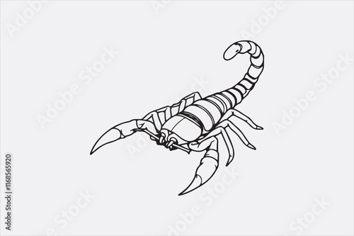 A black and white line drawing of a scorpion with a detailed depiction.