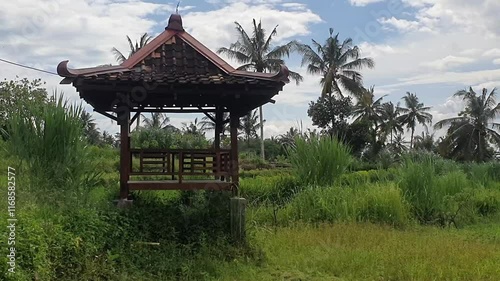 A small wooden pavilion sits in a lush green field. The pavilion is surrounded by tall grass and palm trees. The scene is peaceful and serene, with the pavilion providing a quiet spot to relax