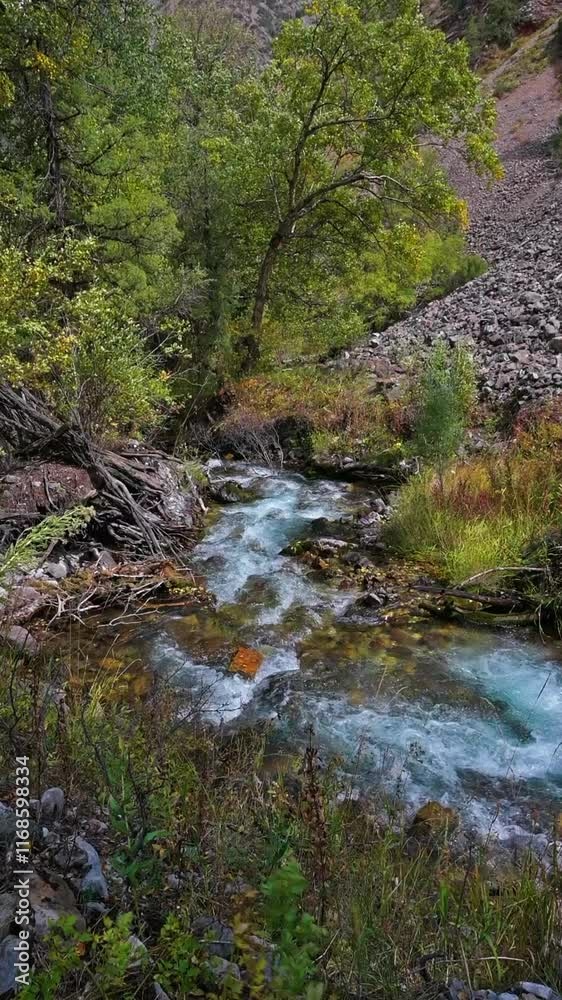 A mountain river flowing over rocks and boulders in the forest, a gorge on a mountain in Kazakhstan. An attraction for hiking and outdoor activities. Vertical slow-motion video. A mountain river flowing over rocks and boulders in the forest, a gorge on a mountain in Kazakhstan. An attraction for hiking and outdoor activities. Vertical slow-motion video.