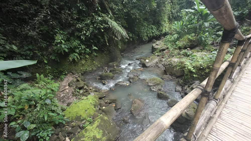 Calm River Stream Below Wooden Bridge In Exotic Jungle In Bali Calm River Stream Below Wooden Bridge In Exotic Jungle In Bali