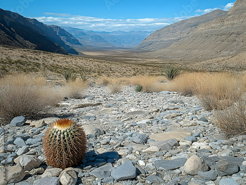 Desert landscape with a single barrel cactus in the foreground, rocky wash leading to a valley and mountains under a clear blue sky. photo