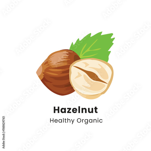 Vector illustration of whole and half brown hazelnut on white background